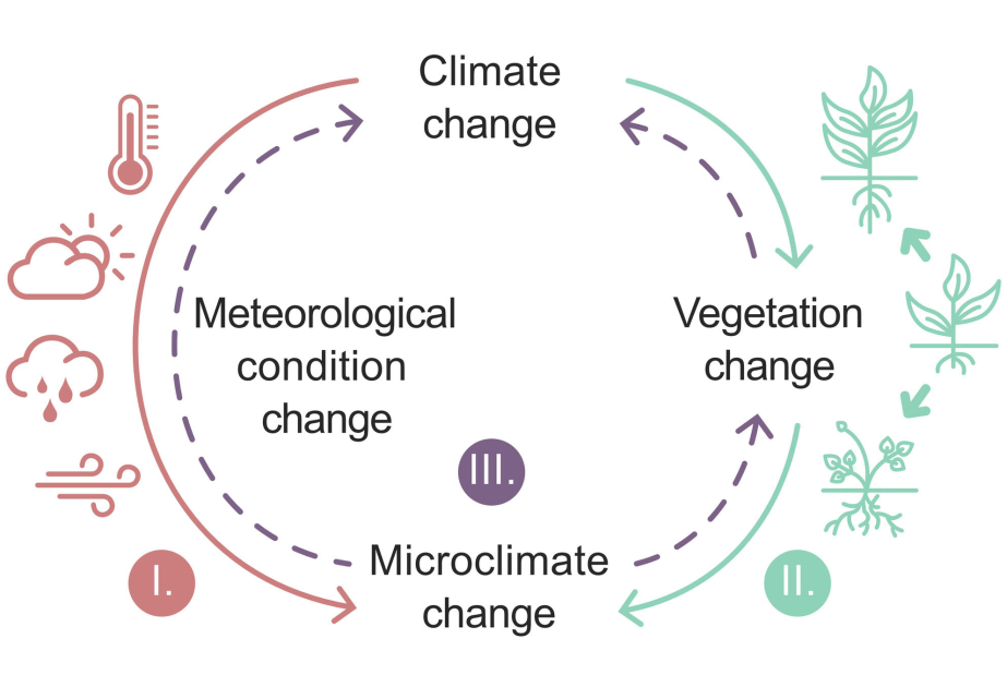Klimawandel verursacht unterschiedliche Temperaturänderungen im selben Gebiet – Forschung