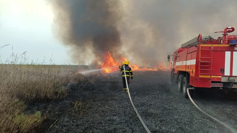 Starker Brand in Jagdwirtschaft in Jalilabad ausgebrochen