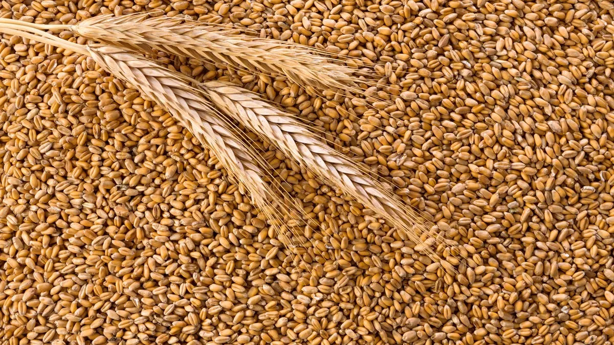 Aserbaidschan hat seine Ausgaben für Weizenimporte um fast 19 % erhöht
