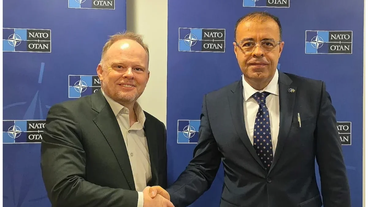 Zukunftsperspektiven der aserbaidschanisch-NATO-Zusammenarbeit erörtert
