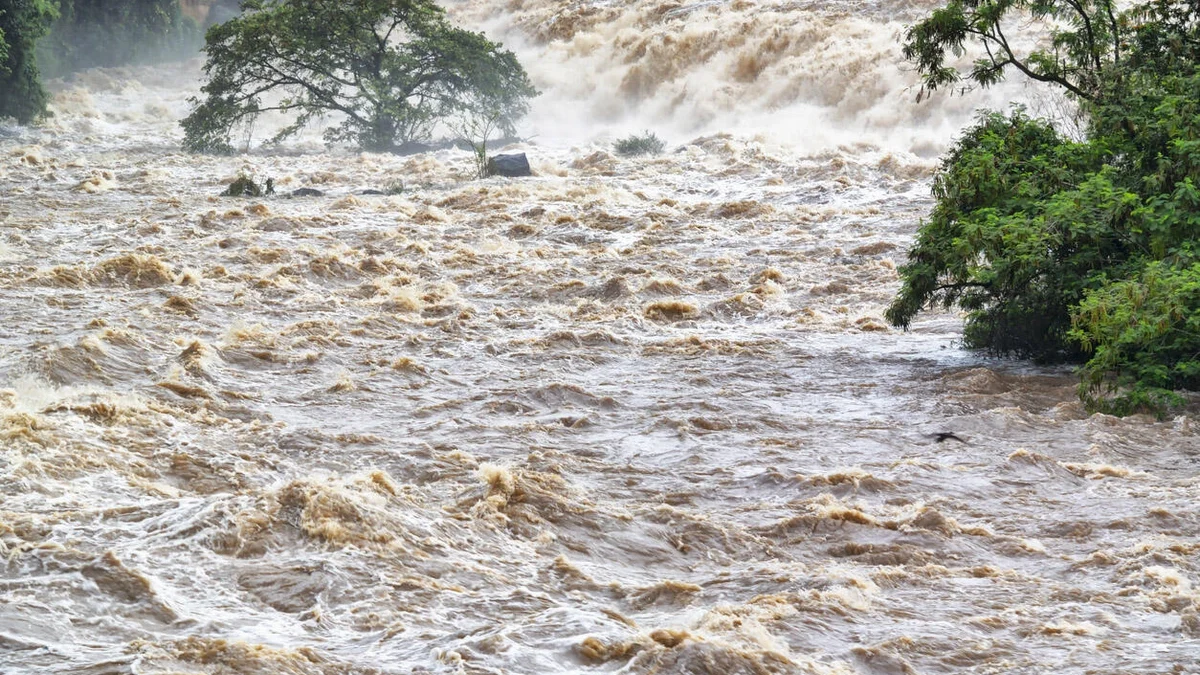 Regen in einigen Regionen, Hochwasser in Flüssen – WARNUNG