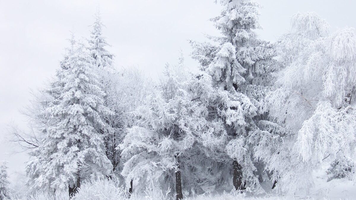 Schnee in Ordubad – AKTUELLE WETTERDATEN