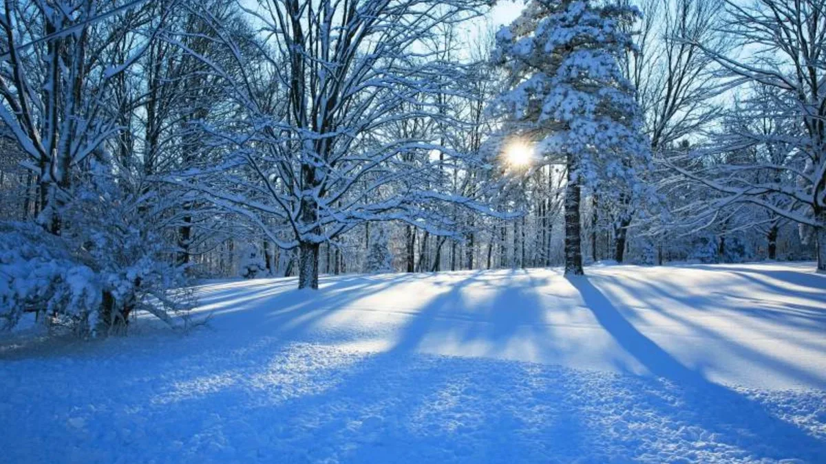 Schneefall in mehreren Regionen Aserbaidschans, starke Regenfälle dauern an – Tatsächliches Wetter
