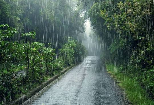Morgen wird Regen erwartet – PROGNOSE