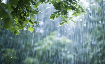 Es wird regnen, es wird blitzen – DAS WETTER MORGEN