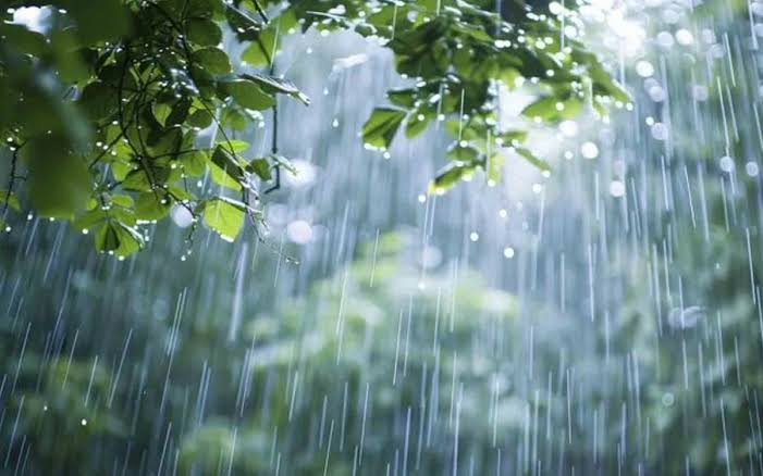 Es wird regnen, es wird blitzen – DAS WETTER MORGEN