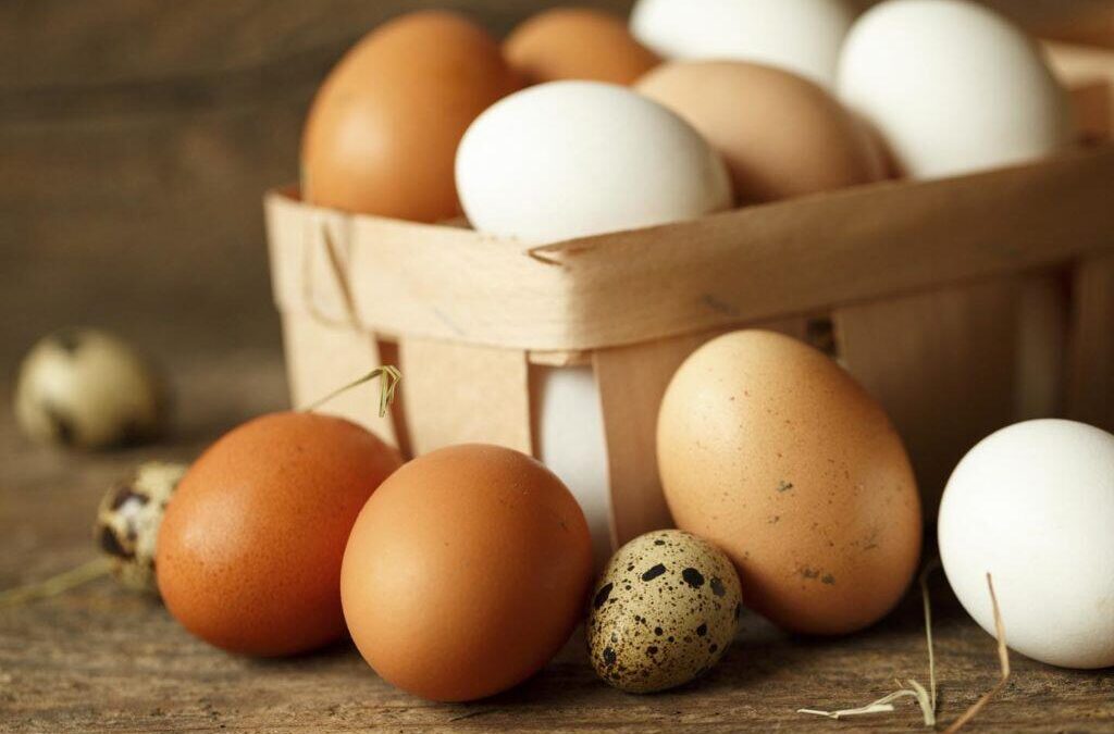 Schlechte Nachrichten für Käufer von Dorf-Eiern
