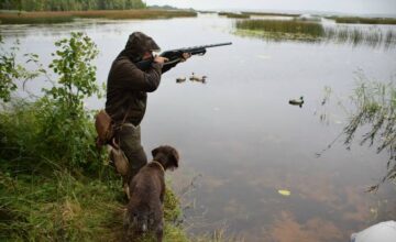Die Jagdsaison beginnt diese Woche in Aserbaidschan