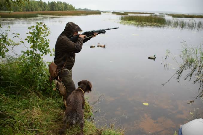 Die Jagdsaison in Aserbaidschan beginnt diese Woche