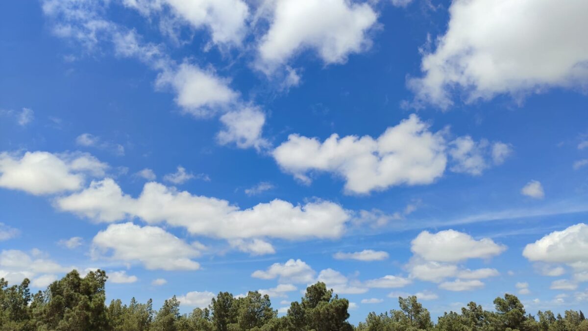 Die Wettervorhersage für morgen wurde veröffentlicht