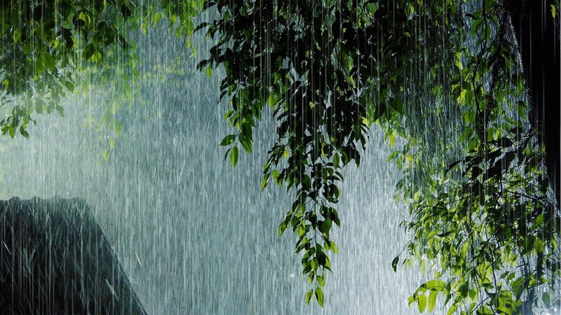Morgen wird es Regenschauer geben, es wird blitzen – WARNUNG